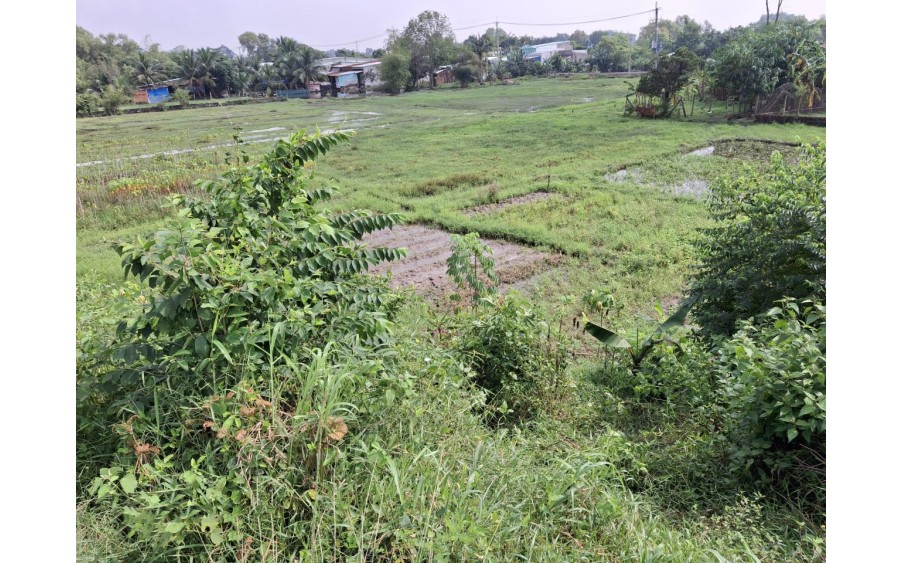 Đất view kênh Đường 566 Củ Chi, 1894m2, 56x50m, Đ.5m chỉ 5.x tỷ